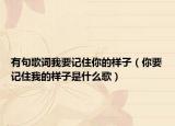 有句歌詞我要記住你的樣子（你要記住我的樣子是什么歌）
