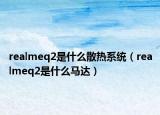 realmeq2是什么散熱系統(tǒng)（realmeq2是什么馬達）