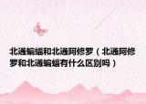 北通蝙蝠和北通阿修羅（北通阿修羅和北通蝙蝠有什么區(qū)別嗎）