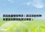 武昌魚苗哪里有賣（武漢賣的各種魚苗是在那里批發(fā)過來的）