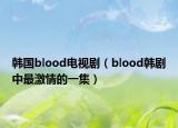 韓國blood電視?。╞lood韓劇中最激情的一集）