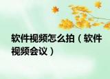 軟件視頻怎么拍（軟件視頻會(huì)議）