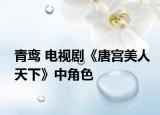 青鸞 電視劇《唐宮美人天下》中角色