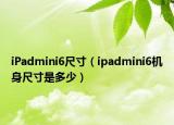 iPadmini6尺寸（ipadmini6機(jī)身尺寸是多少）