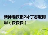 新神雕俠侶2補丁怎麼用啊（快快快）