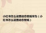 小紅書怎么設(shè)置動(dòng)態(tài)壁紙華為（小紅書怎么設(shè)置動(dòng)態(tài)壁紙）