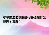 小蘋果里面說的那句韓語是什么意思（求解）
