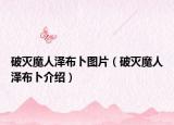 破滅魔人澤布卜圖片（破滅魔人澤布卜介紹）