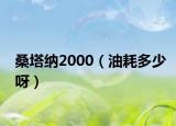 桑塔納2000（油耗多少呀）