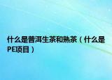 什么是普洱生茶和熟茶（什么是PE項目）