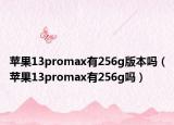 蘋果13promax有256g版本嗎（蘋果13promax有256g嗎）