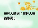 黃種人歌詞（黃種人整首歌詞）