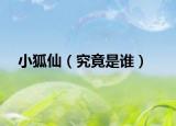 小狐仙（究竟是誰）
