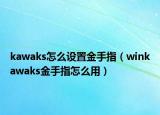 kawaks怎么設(shè)置金手指（winkawaks金手指怎么用）