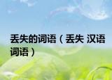 丟失的詞語（丟失 漢語詞語）