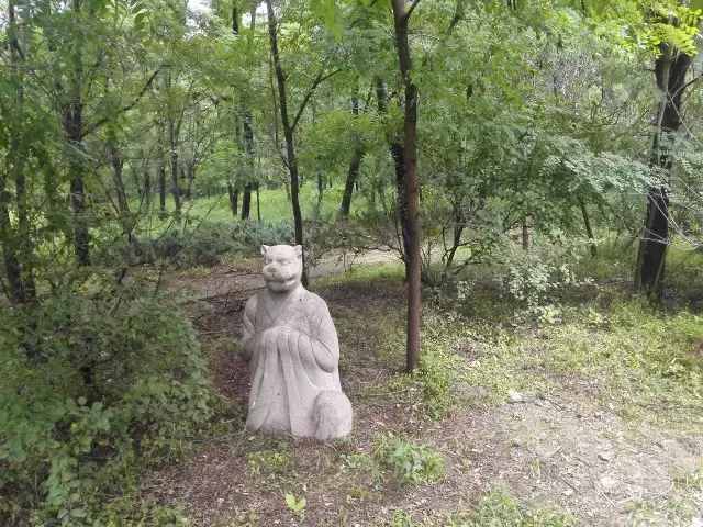 自駕大興，這個(gè)森林公園竟如此特殊，附近吃住玩更是絕了！