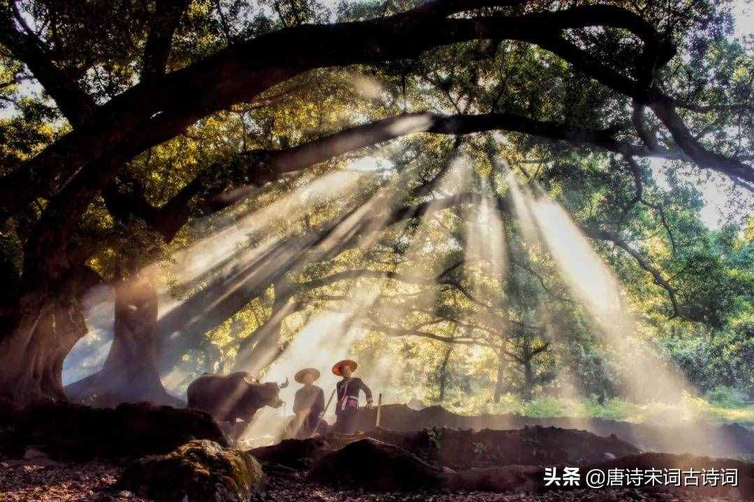 俯首甘為孺子牛，不待揚鞭自奮蹄