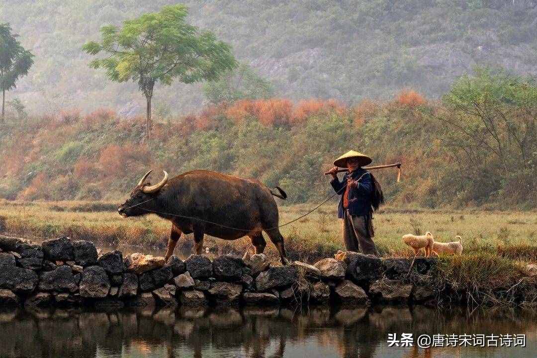 俯首甘為孺子牛，不待揚鞭自奮蹄