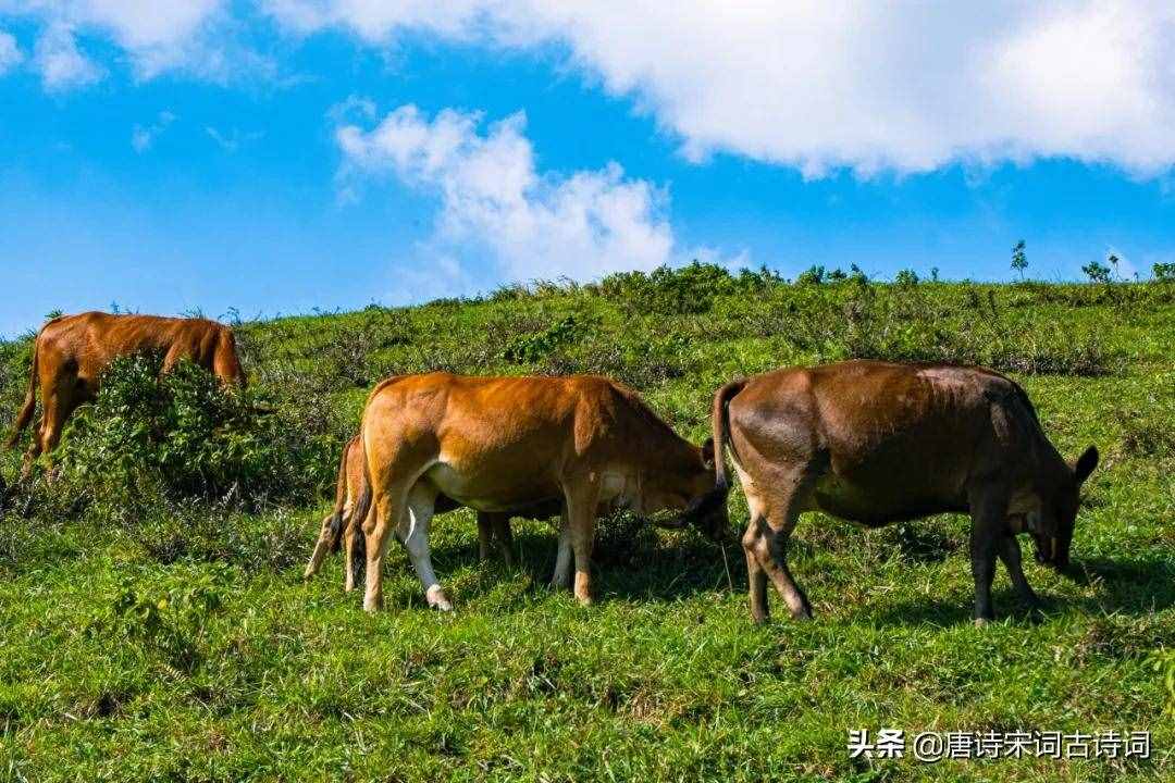 俯首甘為孺子牛，不待揚鞭自奮蹄