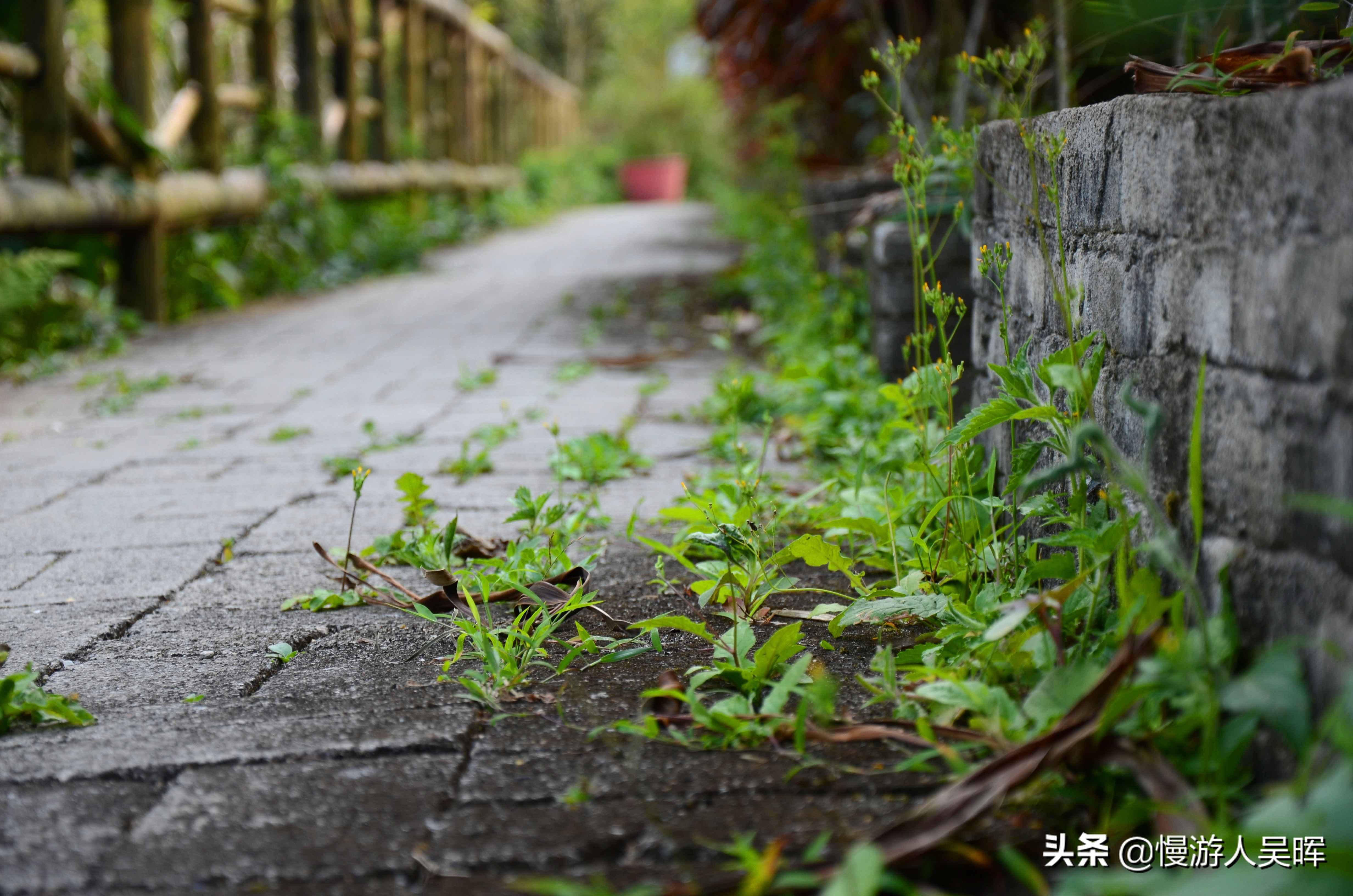 親測6條海南自駕路線，不用燒腦，不虛此行美到爆