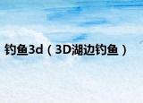 釣魚3d（3D湖邊釣魚）