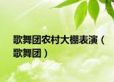 歌舞團(tuán)農(nóng)村大棚表演（歌舞團(tuán)）