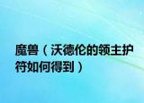 魔獸（沃德倫的領(lǐng)主護(hù)符如何得到）