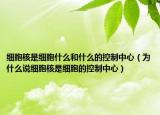 細(xì)胞核是細(xì)胞什么和什么的控制中心（為什么說細(xì)胞核是細(xì)胞的控制中心）