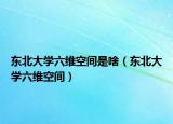 東北大學(xué)六維空間是啥（東北大學(xué)六維空間）