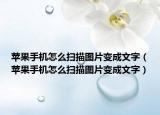 蘋(píng)果手機(jī)怎么掃描圖片變成文字（蘋(píng)果手機(jī)怎么掃描圖片變成文字）