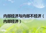 內(nèi)部經(jīng)濟(jì)與內(nèi)部不經(jīng)濟(jì)（內(nèi)部經(jīng)濟(jì)）