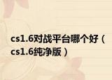 cs1.6對(duì)戰(zhàn)平臺(tái)哪個(gè)好（cs1.6純凈版）