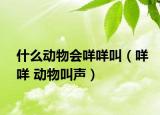 什么動物會咩咩叫（咩咩 動物叫聲）