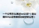 一個(gè)公司怎么通過(guò)iso認(rèn)證?（昆山做ISO認(rèn)證有哪些比較好的公司）