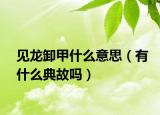 見龍卸甲什么意思（有什么典故嗎）
