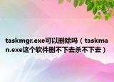 taskmgr.exe可以刪除嗎（taskman.exe這個軟件刪不下去殺不下去）