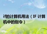 if的計算機用法（IF 計算機中的指令）
