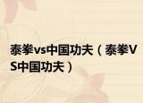 泰拳vs中國功夫（泰拳VS中國功夫）