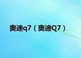 奧迪q7（奧迪Q7）