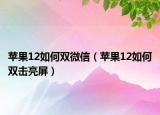 蘋果12如何雙微信（蘋果12如何雙擊亮屏）