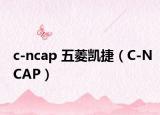 c-ncap 五菱凱捷（C-NCAP）