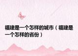 福建是一個(gè)怎樣的城市（福建是一個(gè)怎樣的省份）