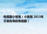 電視劇小爸爸（小爸爸 2013年文章執(zhí)導(dǎo)的電視劇）