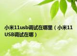 小米11usb調(diào)試在哪里（小米11USB調(diào)試在哪）