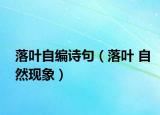 落葉自編詩句（落葉 自然現(xiàn)象）