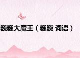 巍巍大魔王（巍巍 詞語(yǔ)）