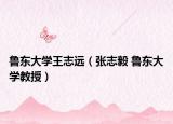 魯東大學(xué)王志遠(yuǎn)（張志毅 魯東大學(xué)教授）