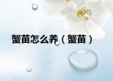 蟹苗怎么養(yǎng)（蟹苗）