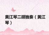 黃江琴二胡獨(dú)奏（黃江琴）
