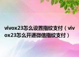 vivox23怎么設(shè)置指紋支付（vivox23怎么開(kāi)通微信指紋支付）